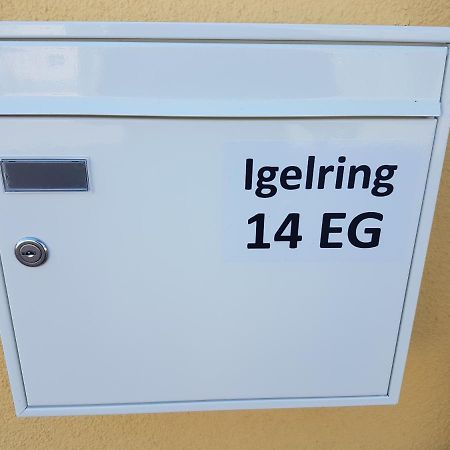 Sonnenstrahl Im Kuestenwald Gelbensande Esterno foto
