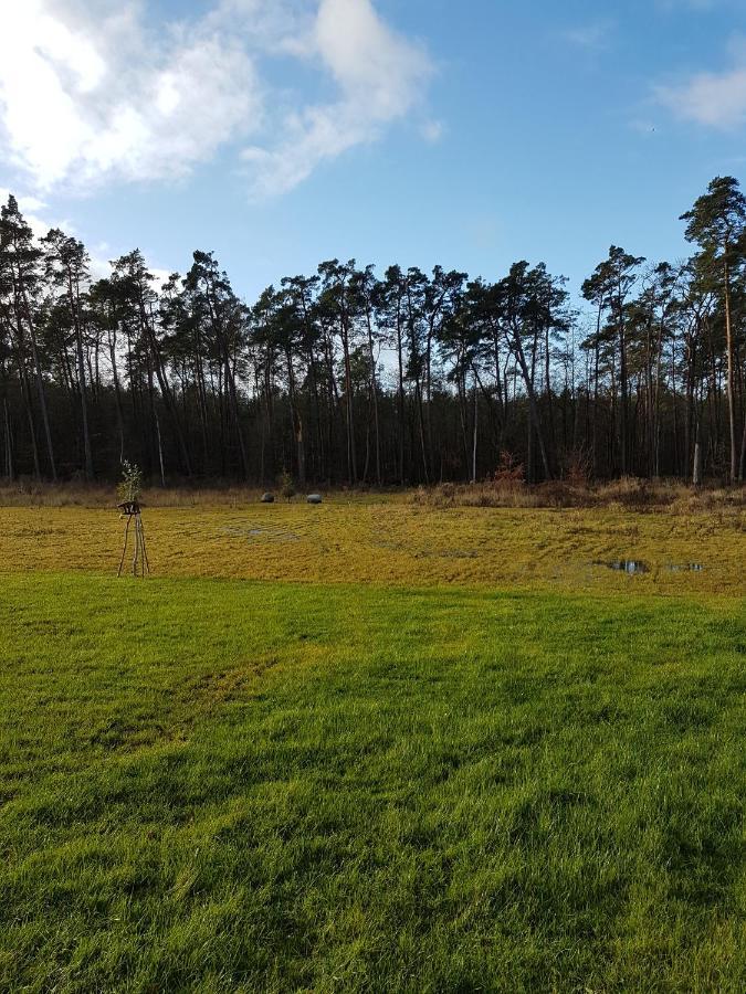 Sonnenstrahl Im Kuestenwald Gelbensande Esterno foto
