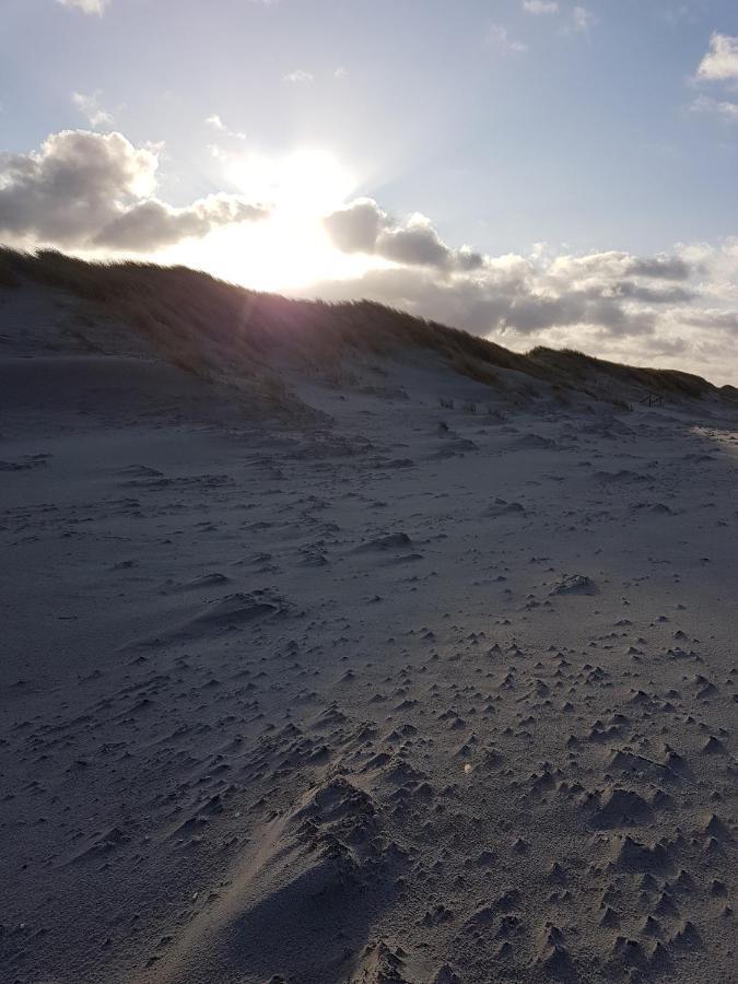 Sonnenstrahl Im Kuestenwald Gelbensande Esterno foto