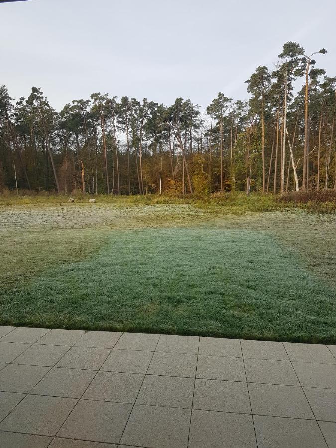 Sonnenstrahl Im Kuestenwald Gelbensande Esterno foto