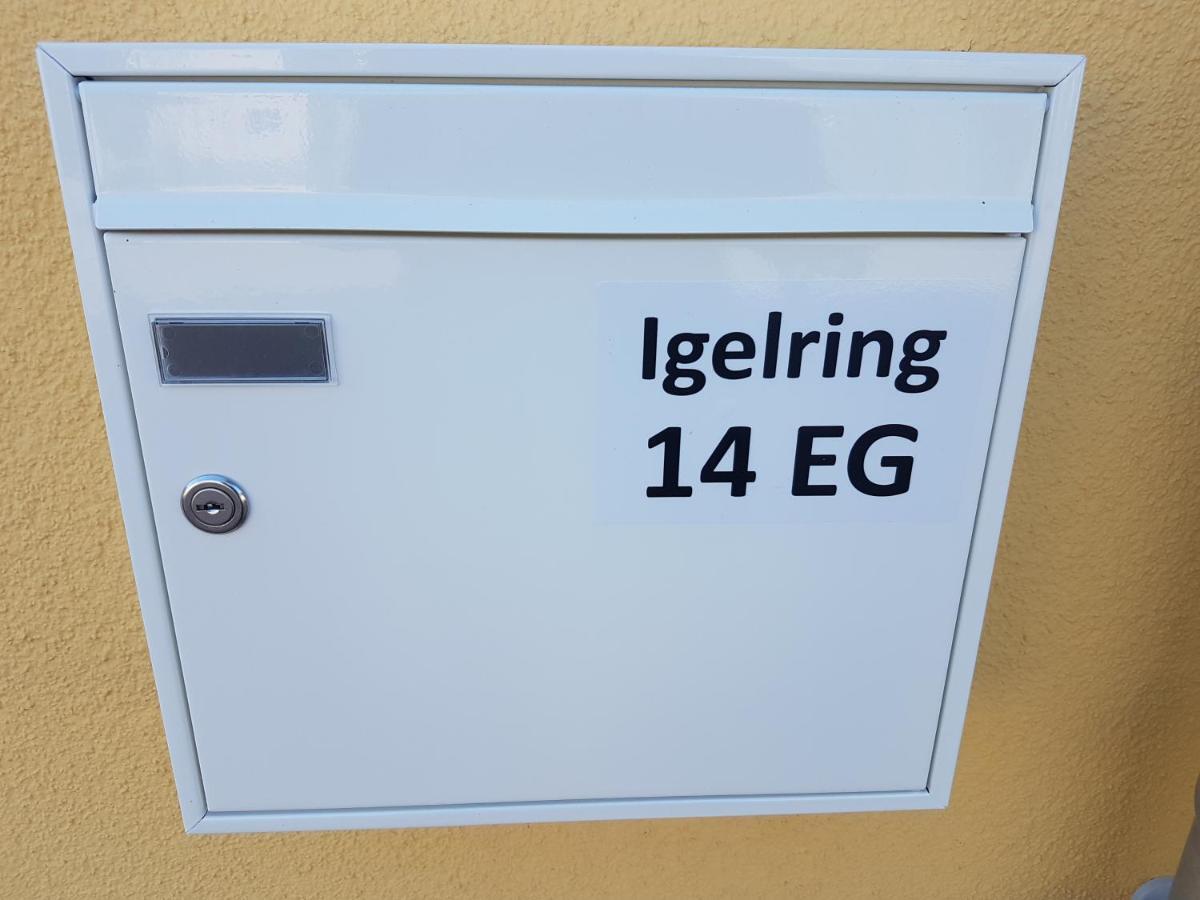 Sonnenstrahl Im Kuestenwald Gelbensande Esterno foto
